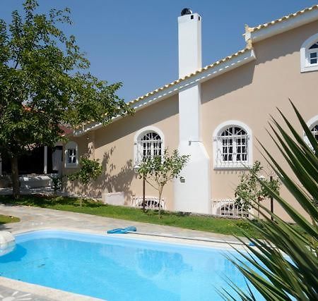 Villa Dendron Agia Marina  Extérieur photo