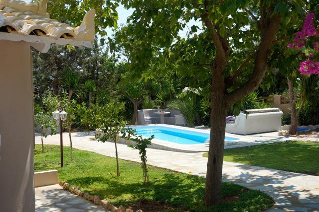 Villa Dendron Agia Marina  Extérieur photo